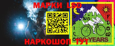 шишки Славгород