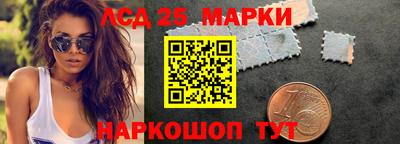 шишки Славгород