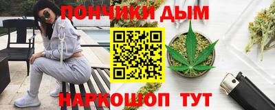 шишки Славгород