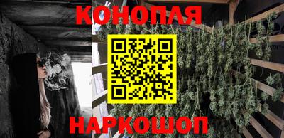 шишки Славгород