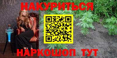 шишки Славгород
