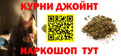 шишки Славгород