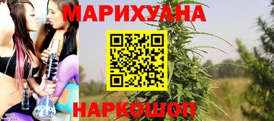 шишки Славгород
