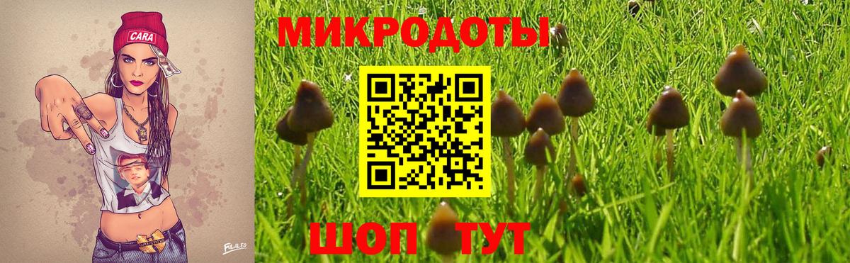 Орехово-Зуево  Псилоцибиновые грибы MAGIC MUSHROOMS  Галлюциногенные грибы Psilocybine cubensis  Вход с VPN 